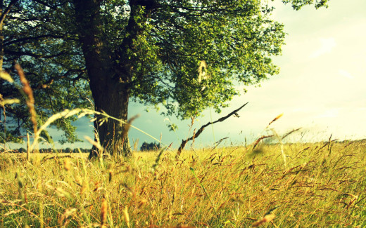 718939 (a): :2880x1800